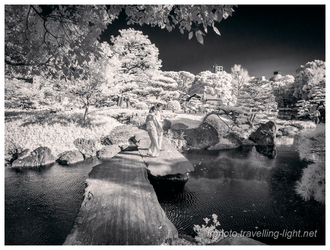 Lake with Stone Bridge, Kiyosumi Garden, Tokyo